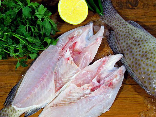 ماهي أفضل نوع سمك في ايران