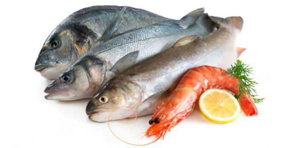  بيع وشراء أفضل أنواع السمك بسعر مناسب